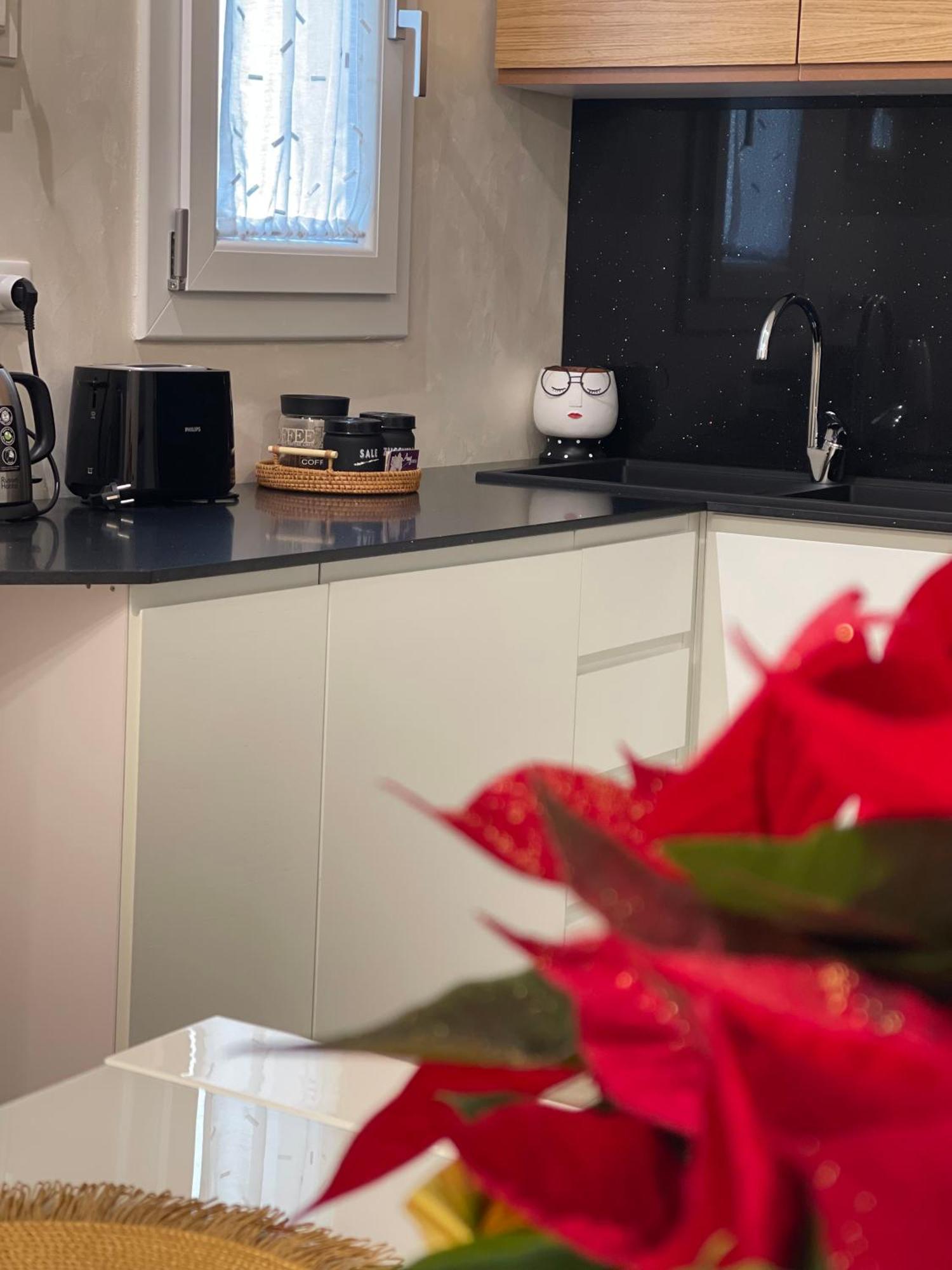 Magicflo Santa Croce Appartamento フィレンツェ エクステリア 写真